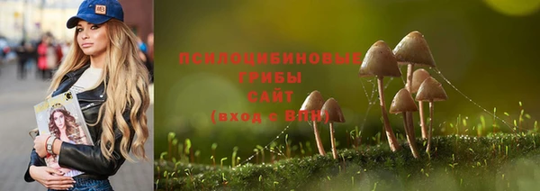 не бодяженный Алзамай